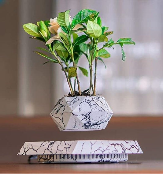 Magnetic Levitating Floating Plant Pot for Home & Office